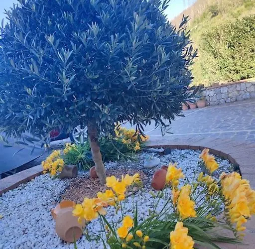 公寓 Anna 维博瓦伦蒂亚